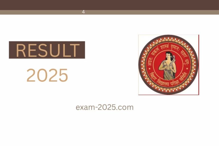 Bihar STET Admit Card 2025
